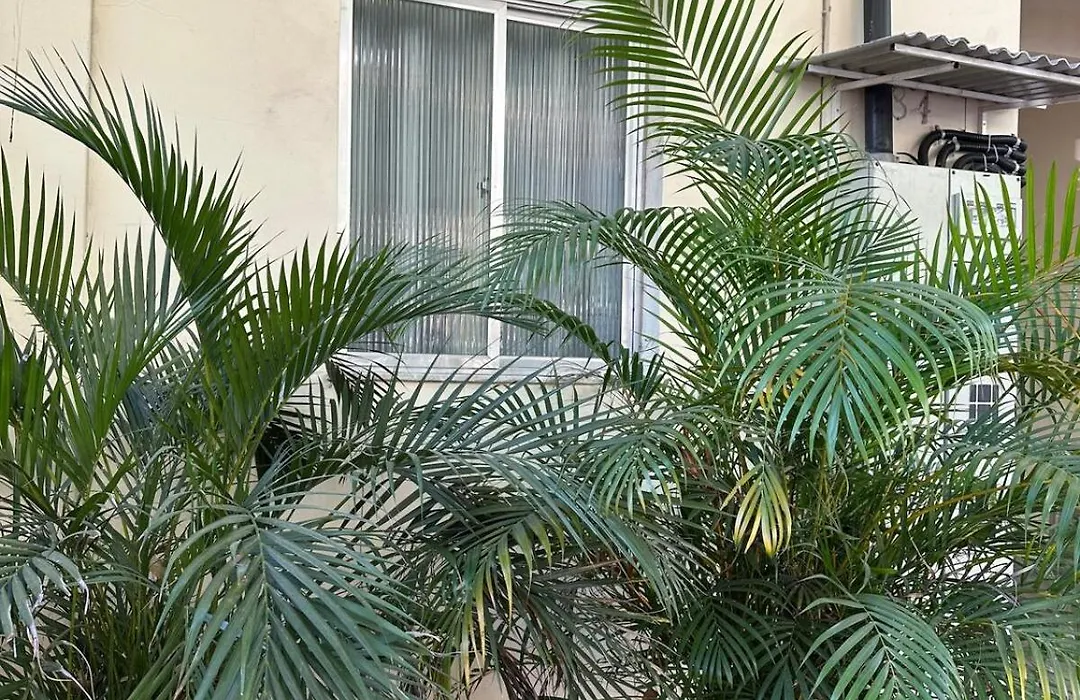 apartamento em botafogo proximo as praias da zs-1